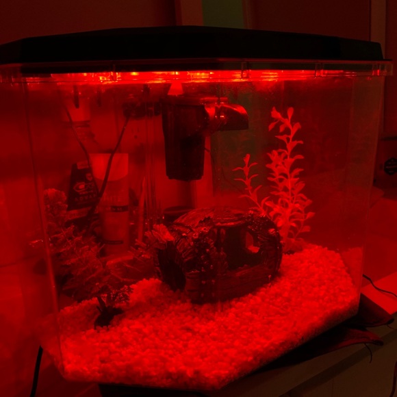 6.7 gallon fish tank (like new) - Picture 4 of 8